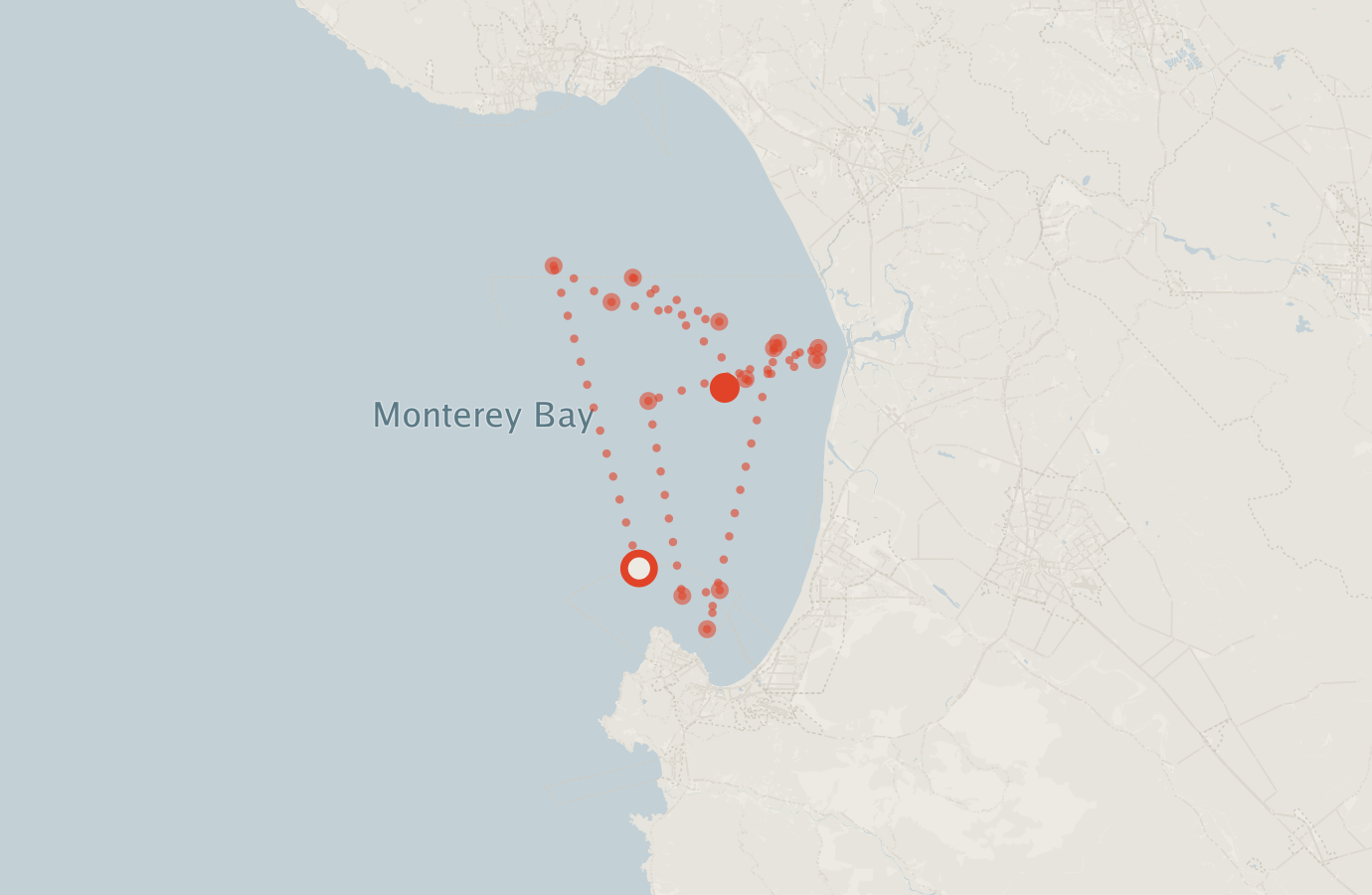 Activity map — real sighting points on an OpenStreetMap basemap