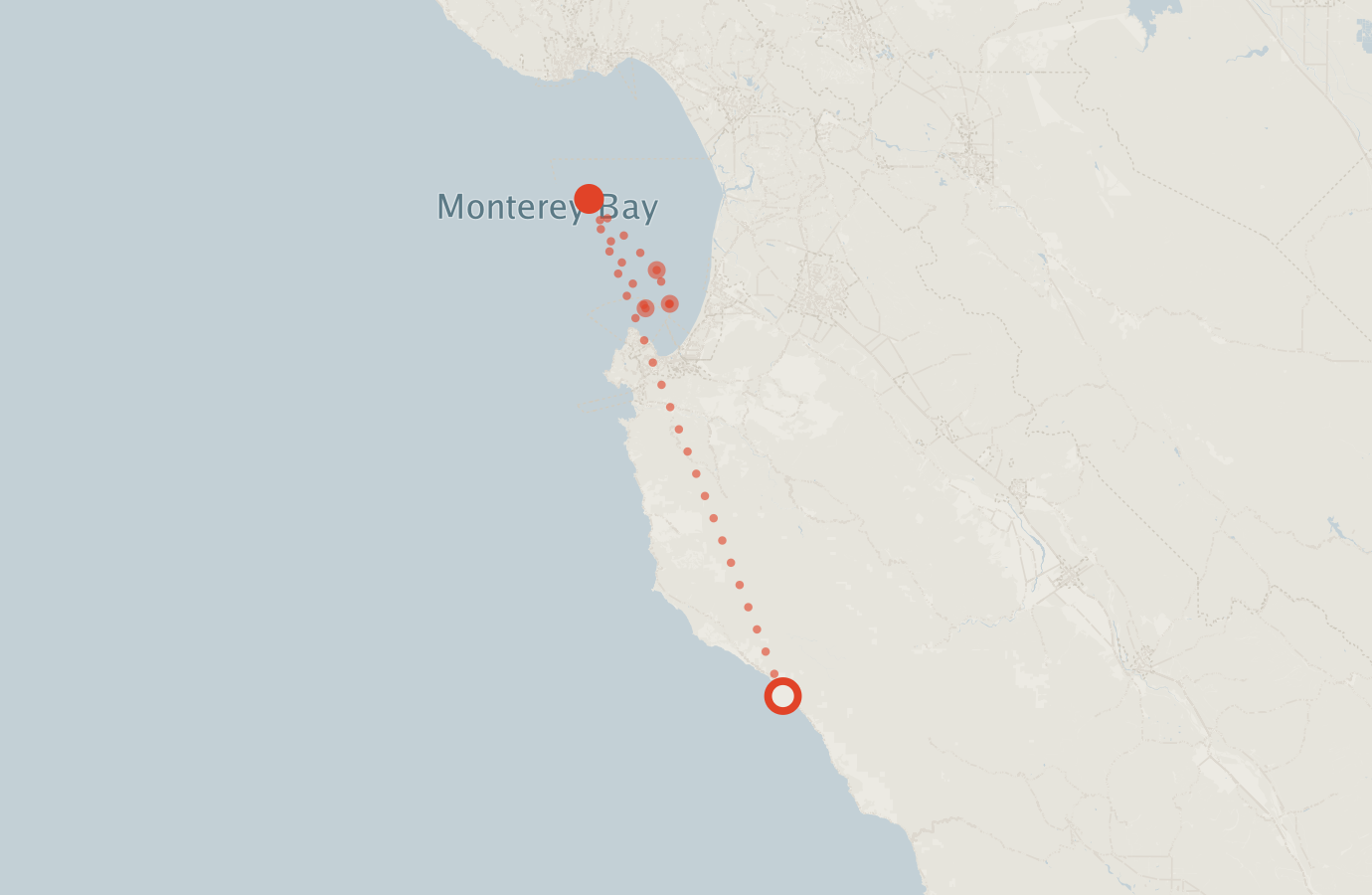 Activity map — real sighting points on an OpenStreetMap basemap