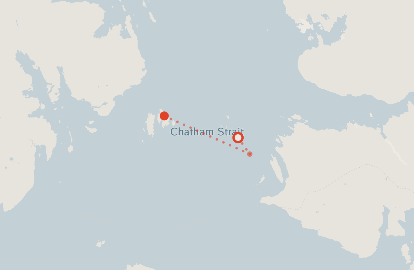 Activity map — real sighting points on an OpenStreetMap basemap