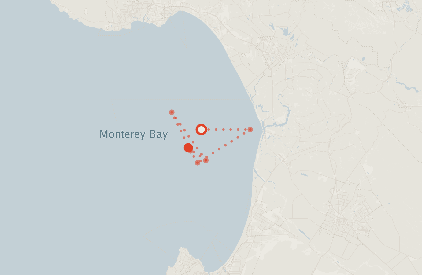 Activity map — real sighting points on an OpenStreetMap basemap