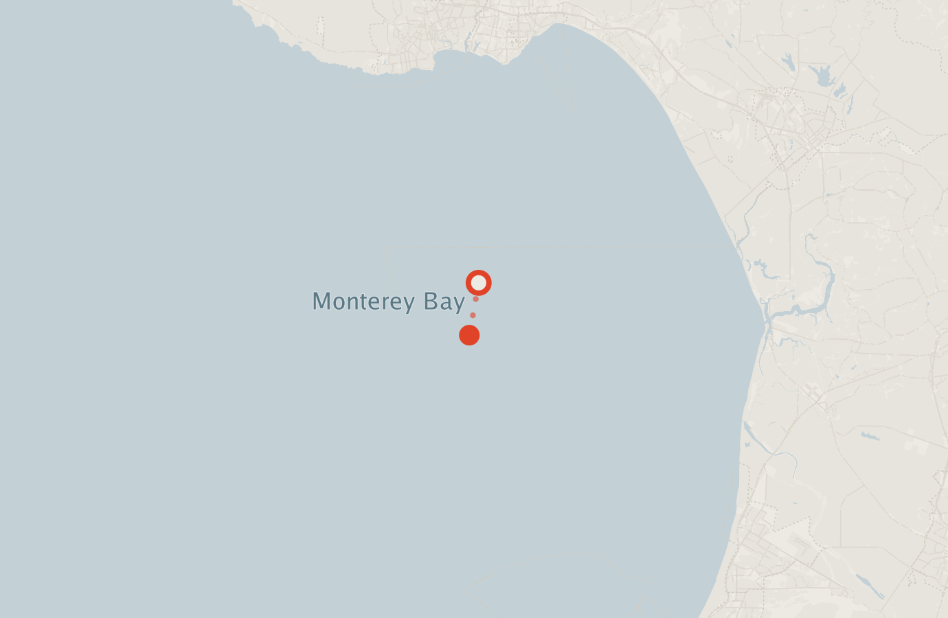 Activity map — real sighting points on an OpenStreetMap basemap
