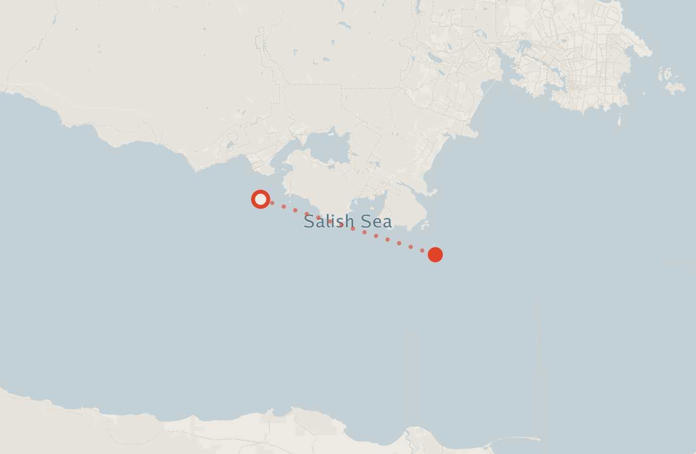 Activity map — real sighting points on an OpenStreetMap basemap