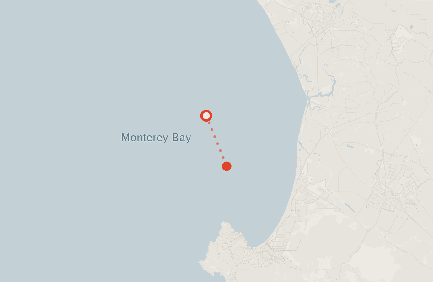 Activity map — real sighting points on an OpenStreetMap basemap