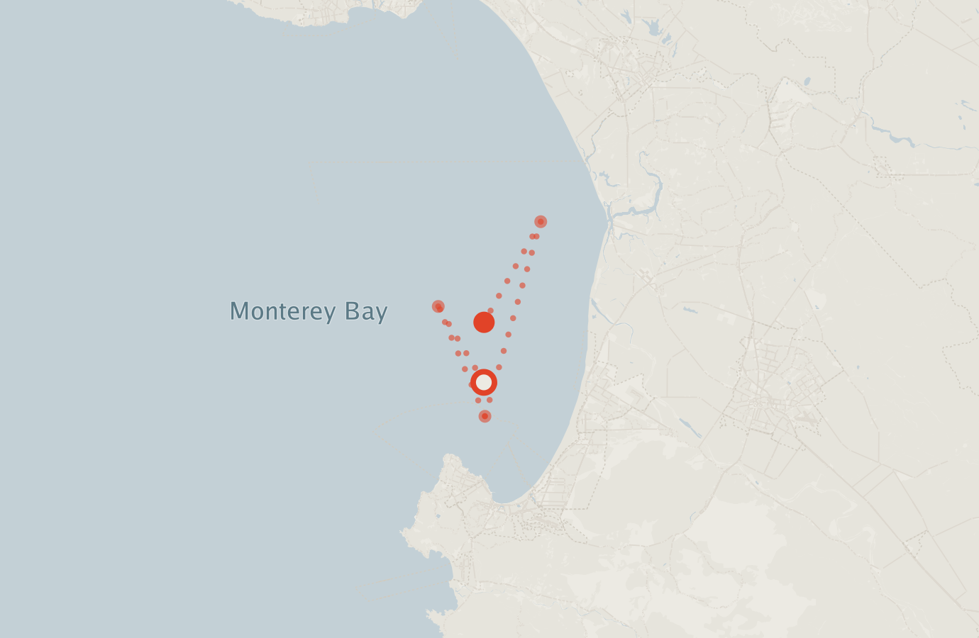 Activity map — real sighting points on an OpenStreetMap basemap