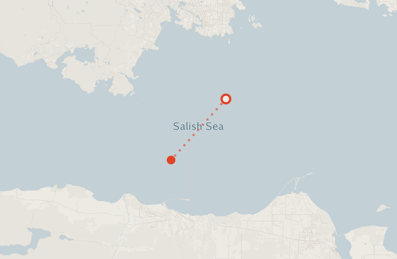 Activity map — real sighting points on an OpenStreetMap basemap