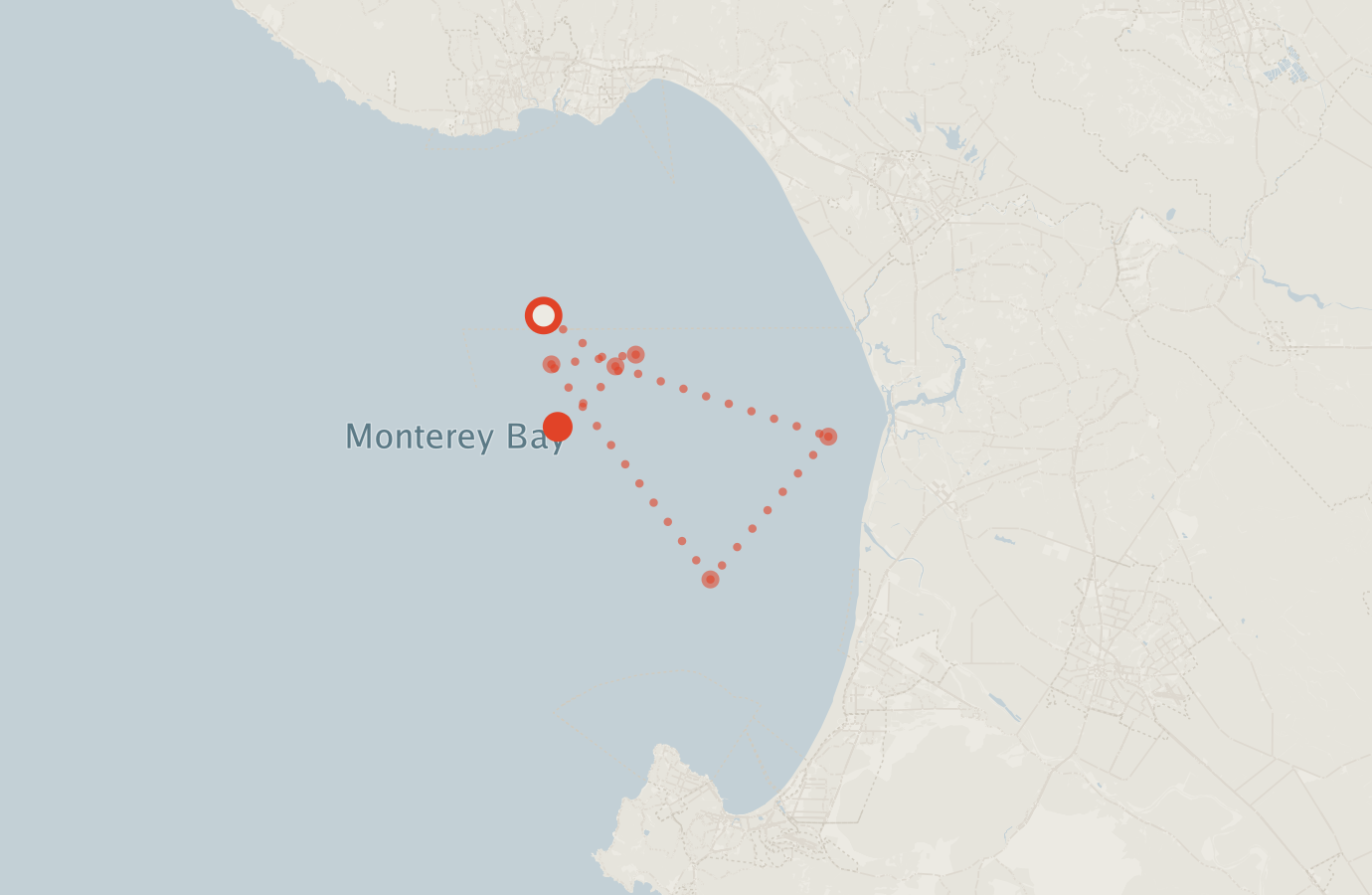 Activity map — real sighting points on an OpenStreetMap basemap