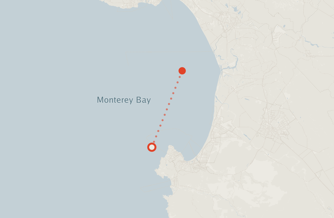 Activity map — real sighting points on an OpenStreetMap basemap