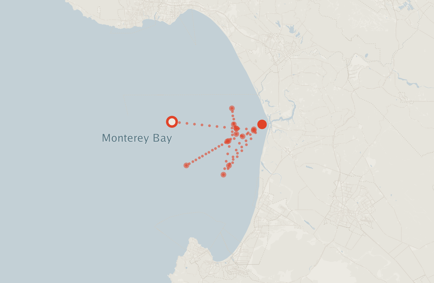Activity map — real sighting points on an OpenStreetMap basemap