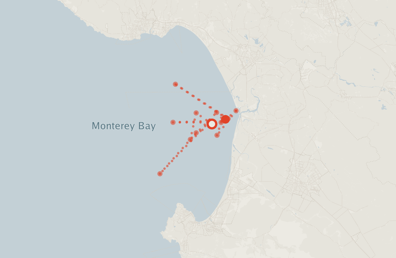 Activity map — real sighting points on an OpenStreetMap basemap