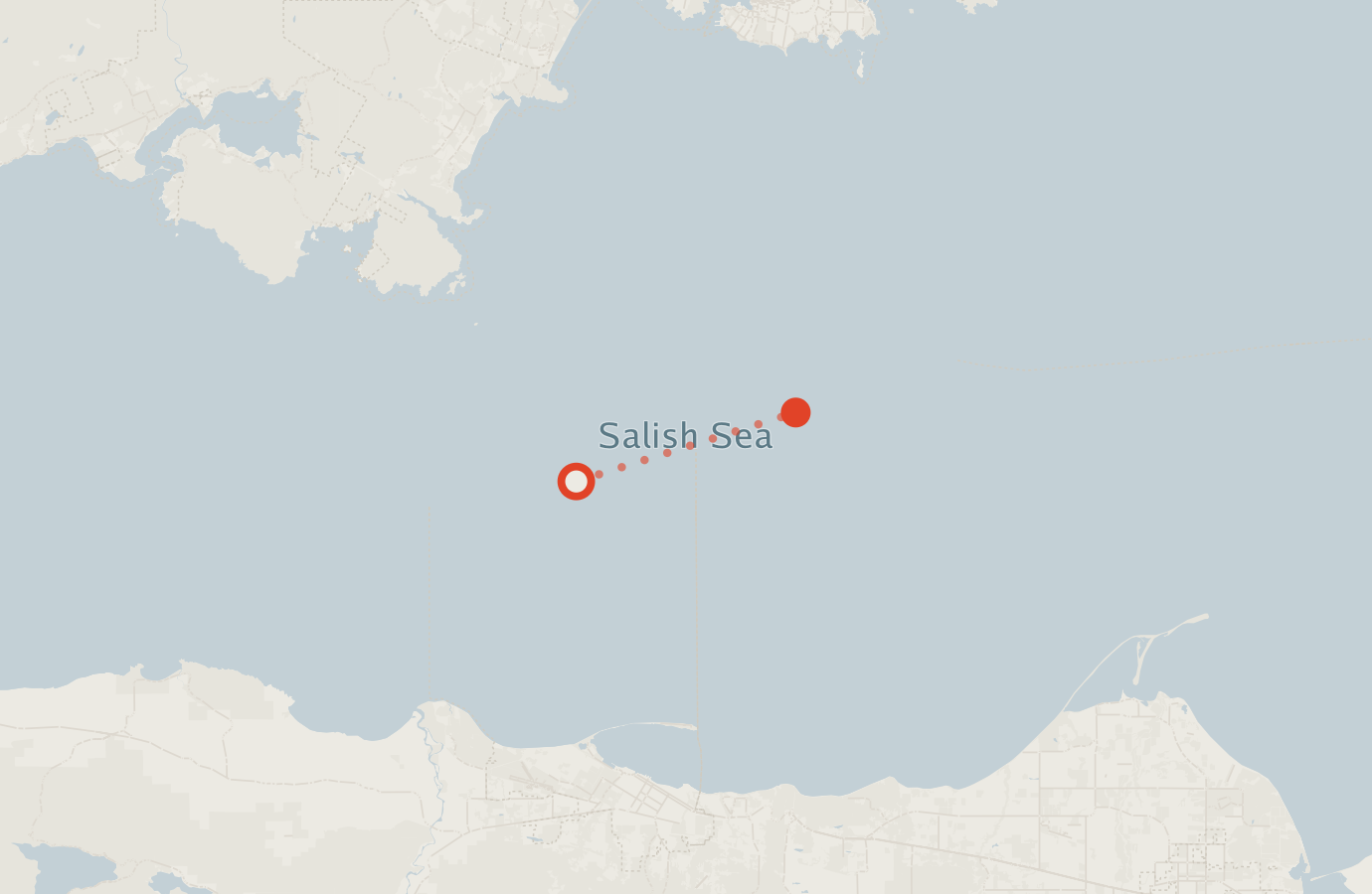 Activity map — real sighting points on an OpenStreetMap basemap