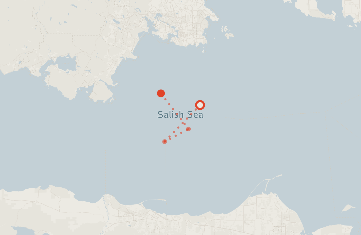 Activity map — real sighting points on an OpenStreetMap basemap