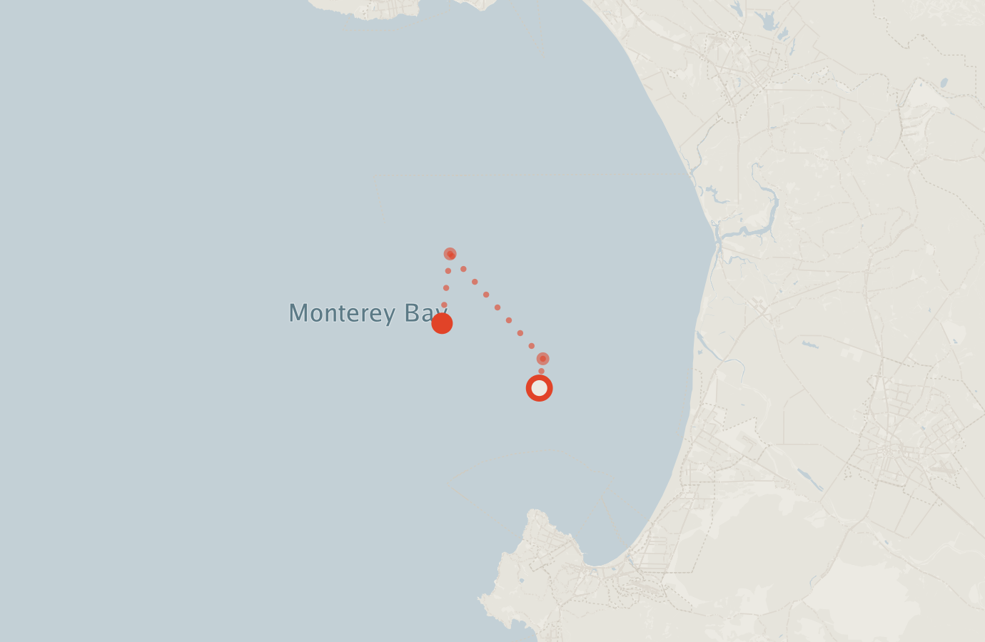Activity map — real sighting points on an OpenStreetMap basemap