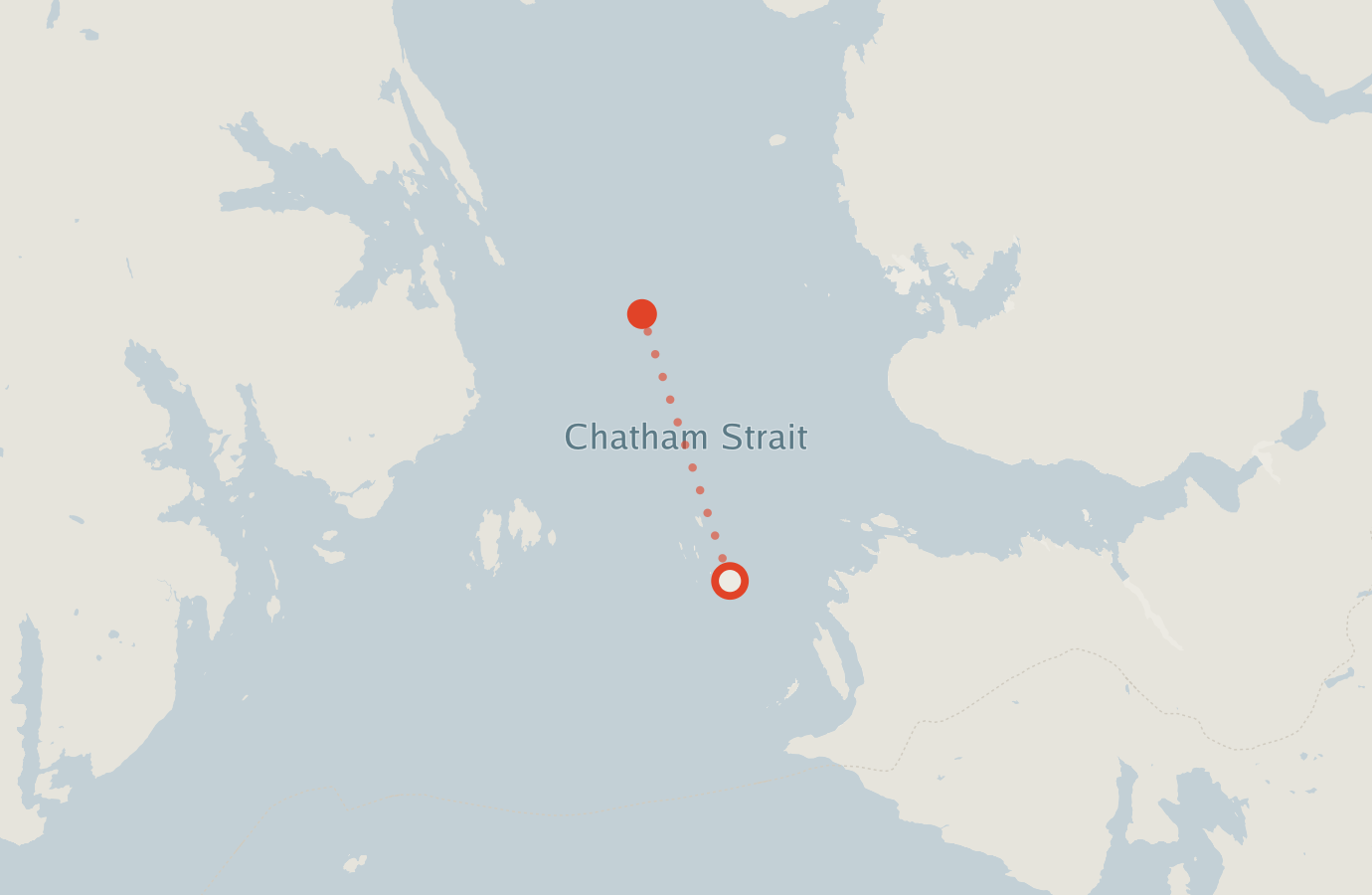 Activity map — real sighting points on an OpenStreetMap basemap