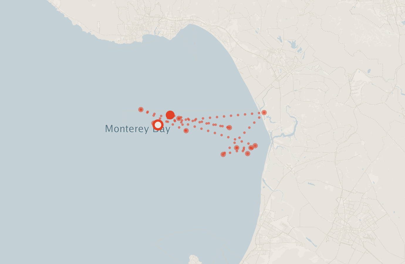 Activity map — real sighting points on an OpenStreetMap basemap