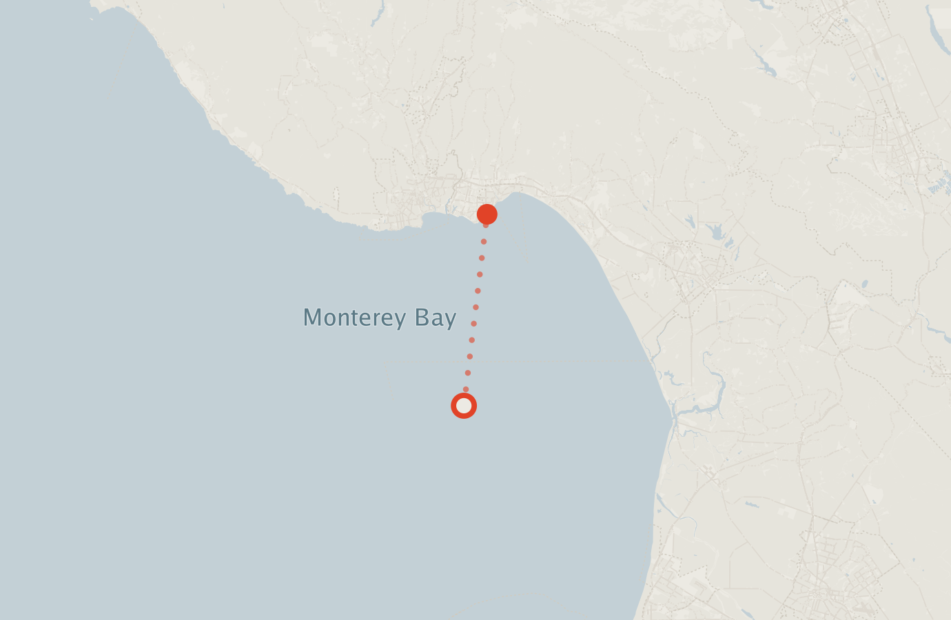 Activity map — real sighting points on an OpenStreetMap basemap