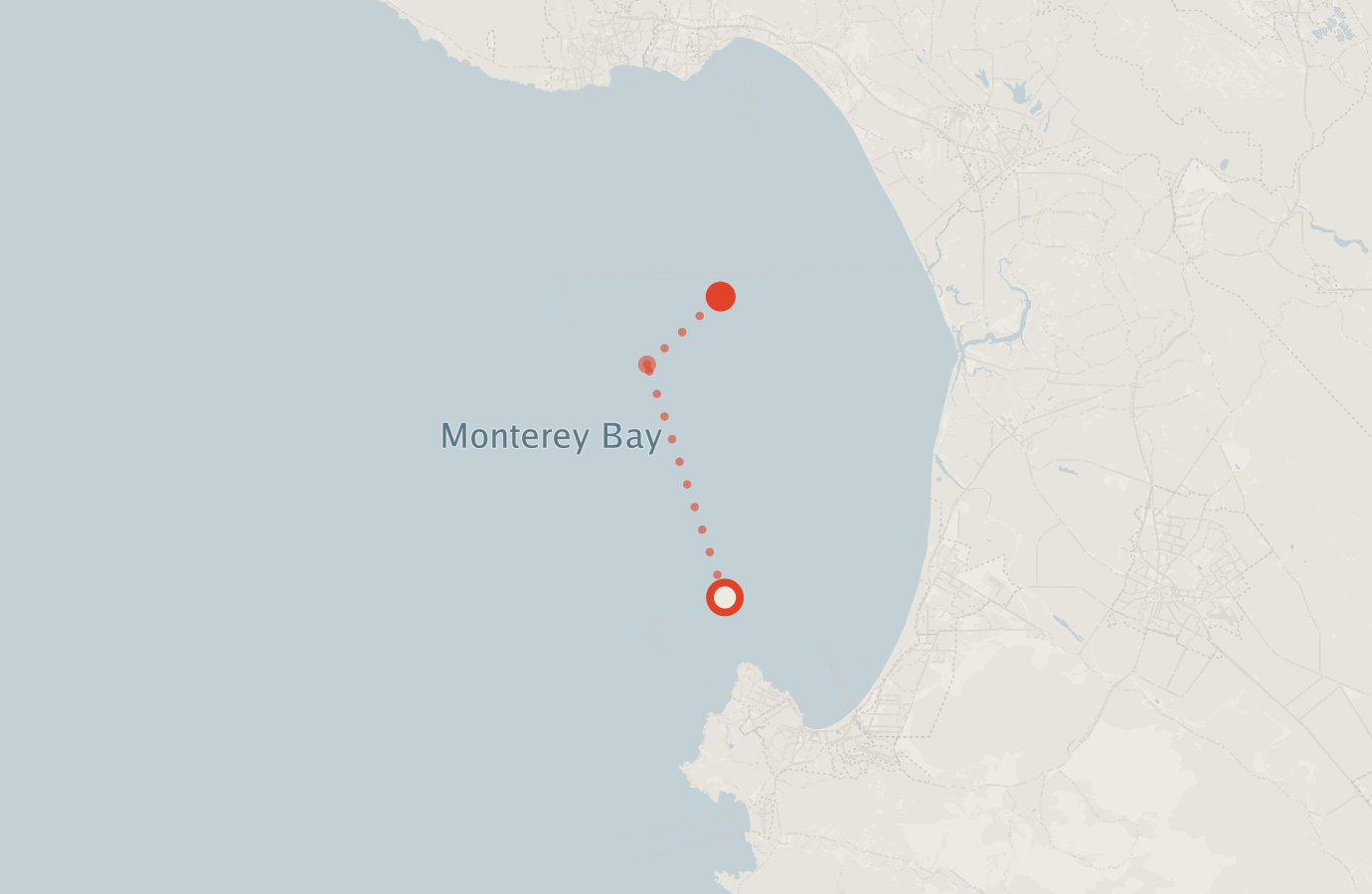 Activity map — real sighting points on an OpenStreetMap basemap