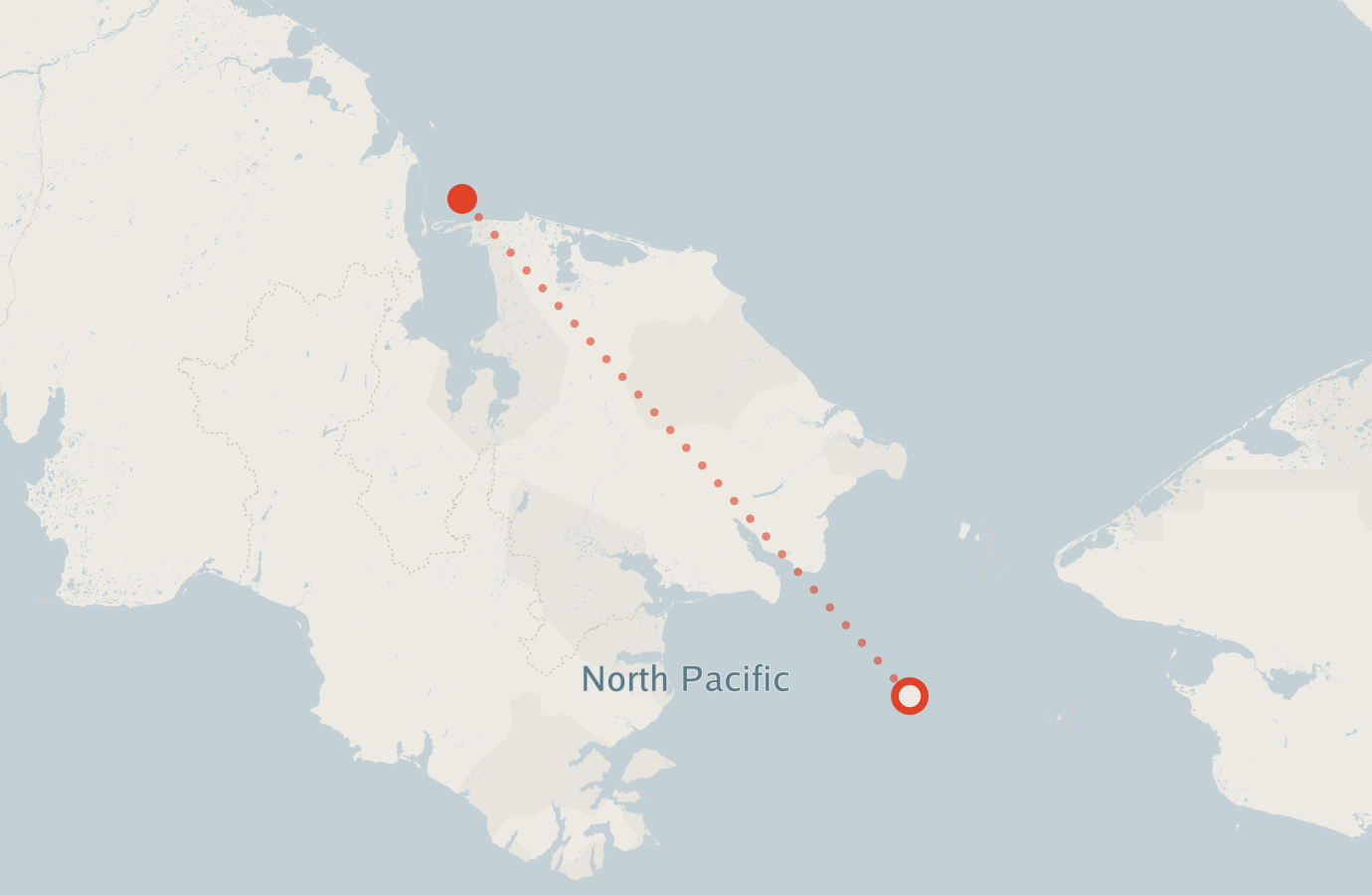 Activity map — real sighting points on an OpenStreetMap basemap