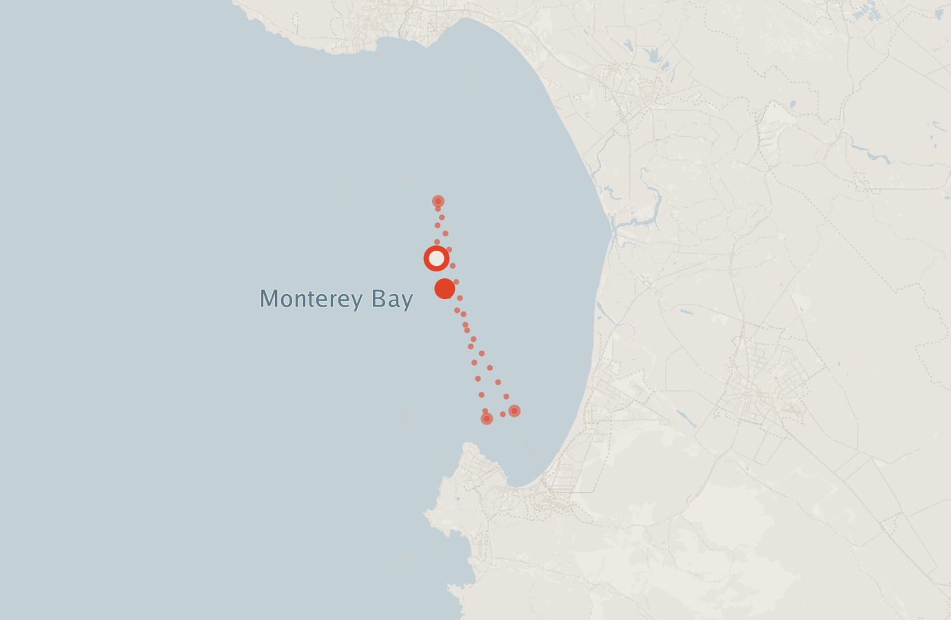Activity map — real sighting points on an OpenStreetMap basemap