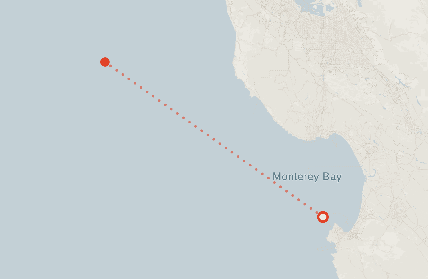 Activity map — real sighting points on an OpenStreetMap basemap