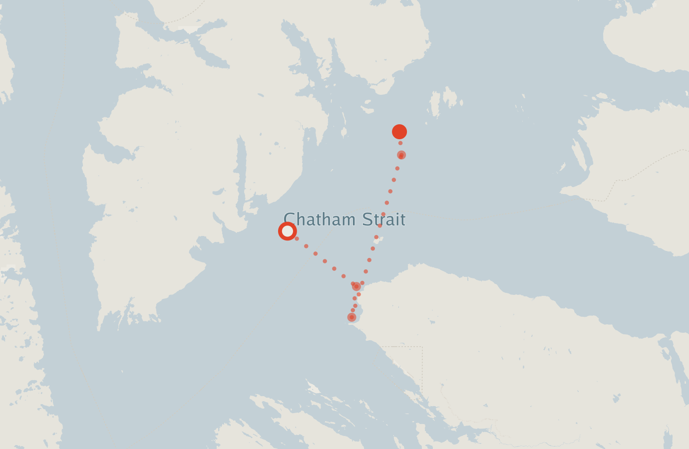Activity map — real sighting points on an OpenStreetMap basemap