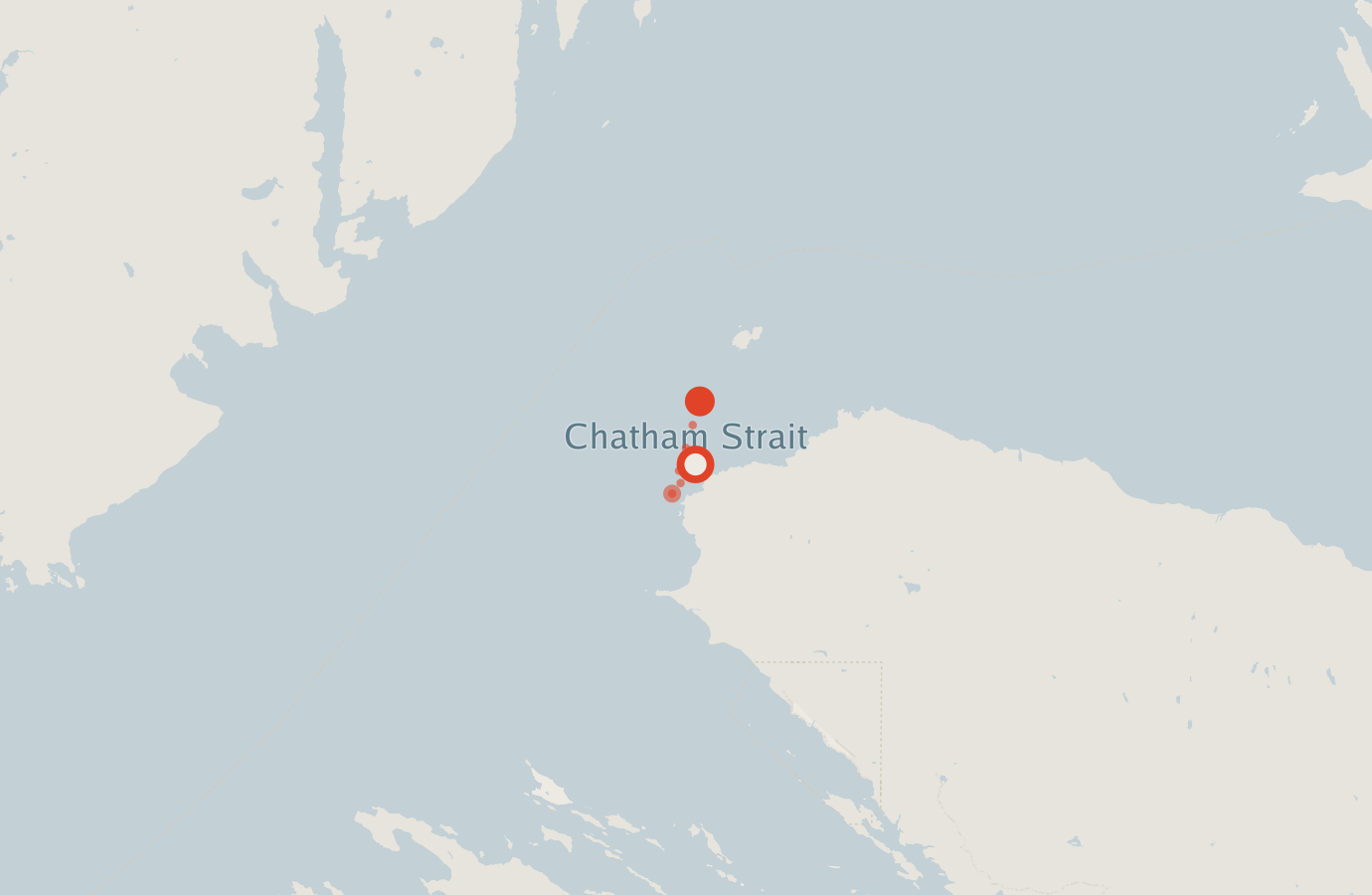 Activity map — real sighting points on an OpenStreetMap basemap