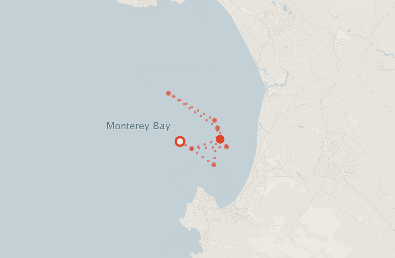 Activity map — real sighting points on an OpenStreetMap basemap