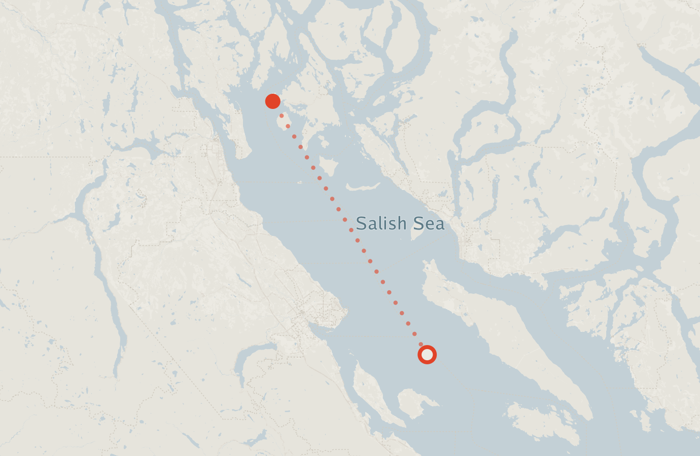 Activity map — real sighting points on an OpenStreetMap basemap