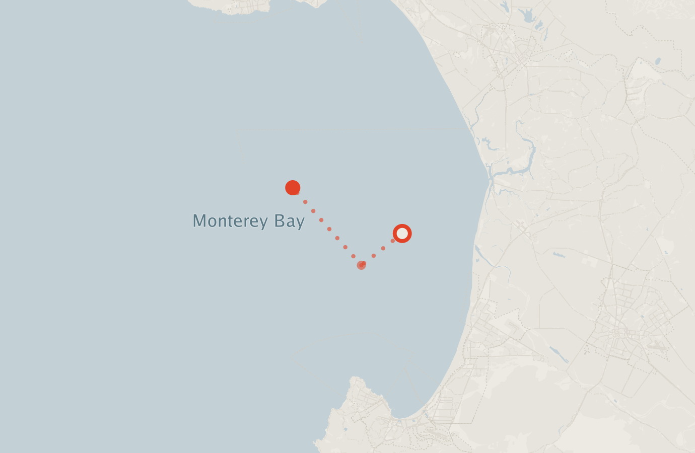 Activity map — real sighting points on an OpenStreetMap basemap