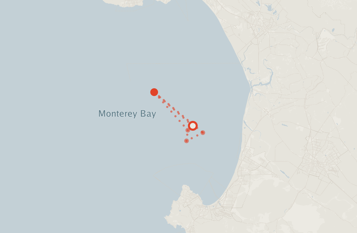 Activity map — real sighting points on an OpenStreetMap basemap