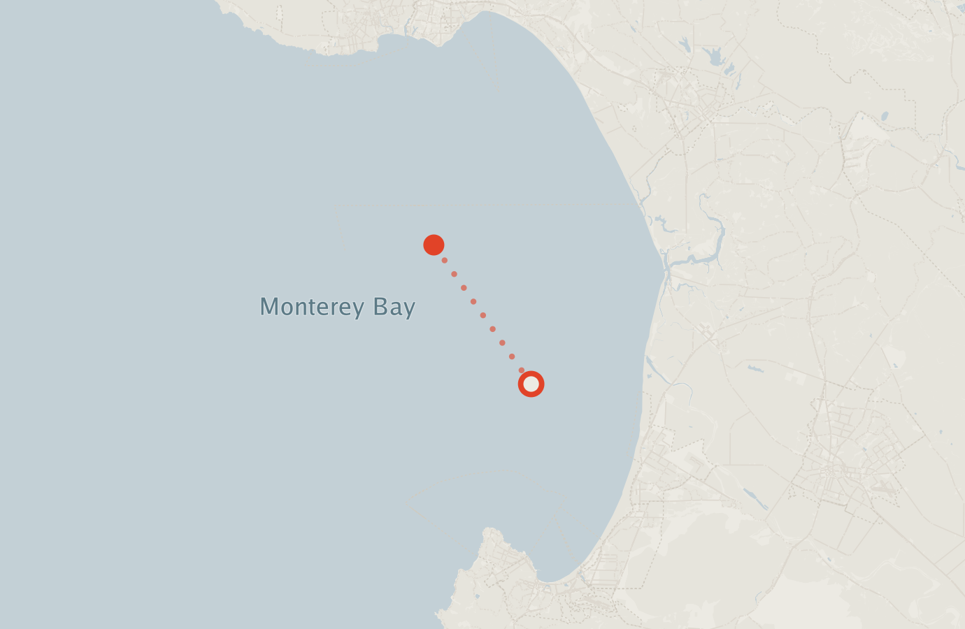 Activity map — real sighting points on an OpenStreetMap basemap