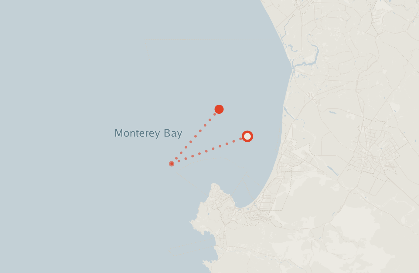 Activity map — real sighting points on an OpenStreetMap basemap
