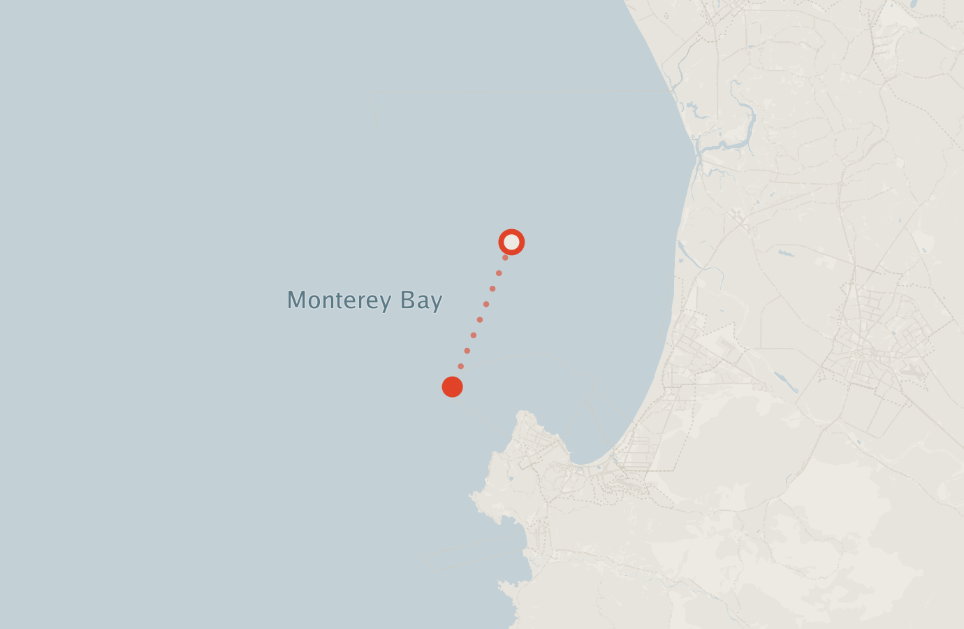 Activity map — real sighting points on an OpenStreetMap basemap