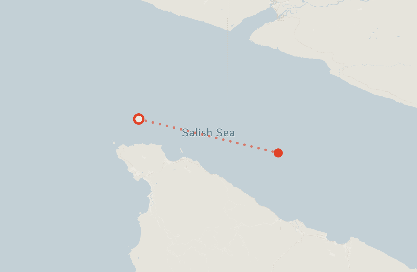 Activity map — real sighting points on an OpenStreetMap basemap