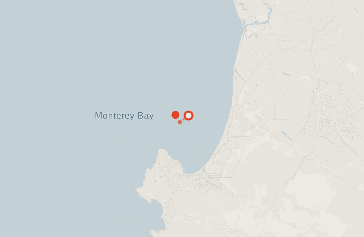 Activity map — real sighting points on an OpenStreetMap basemap