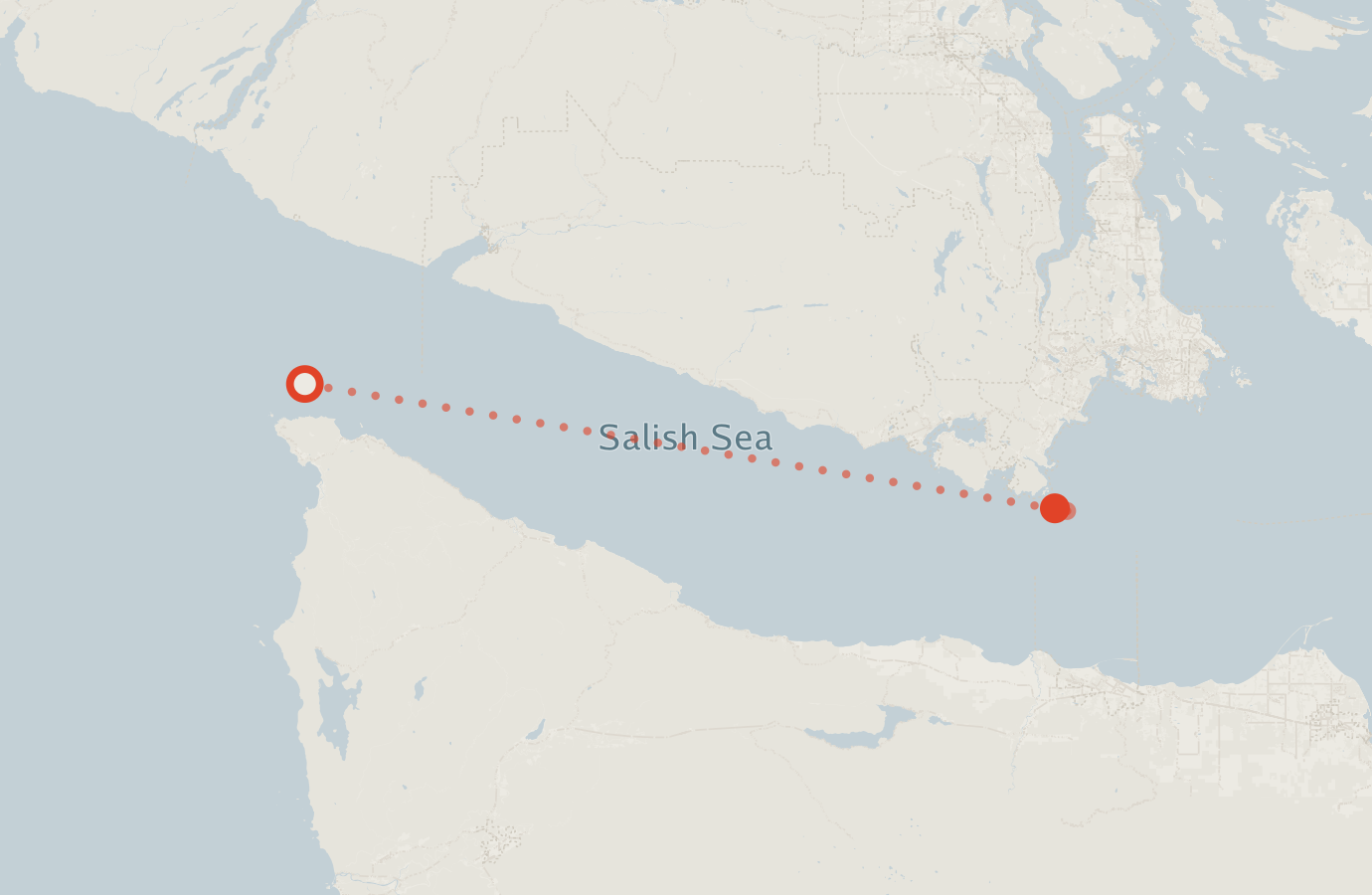 Activity map — real sighting points on an OpenStreetMap basemap