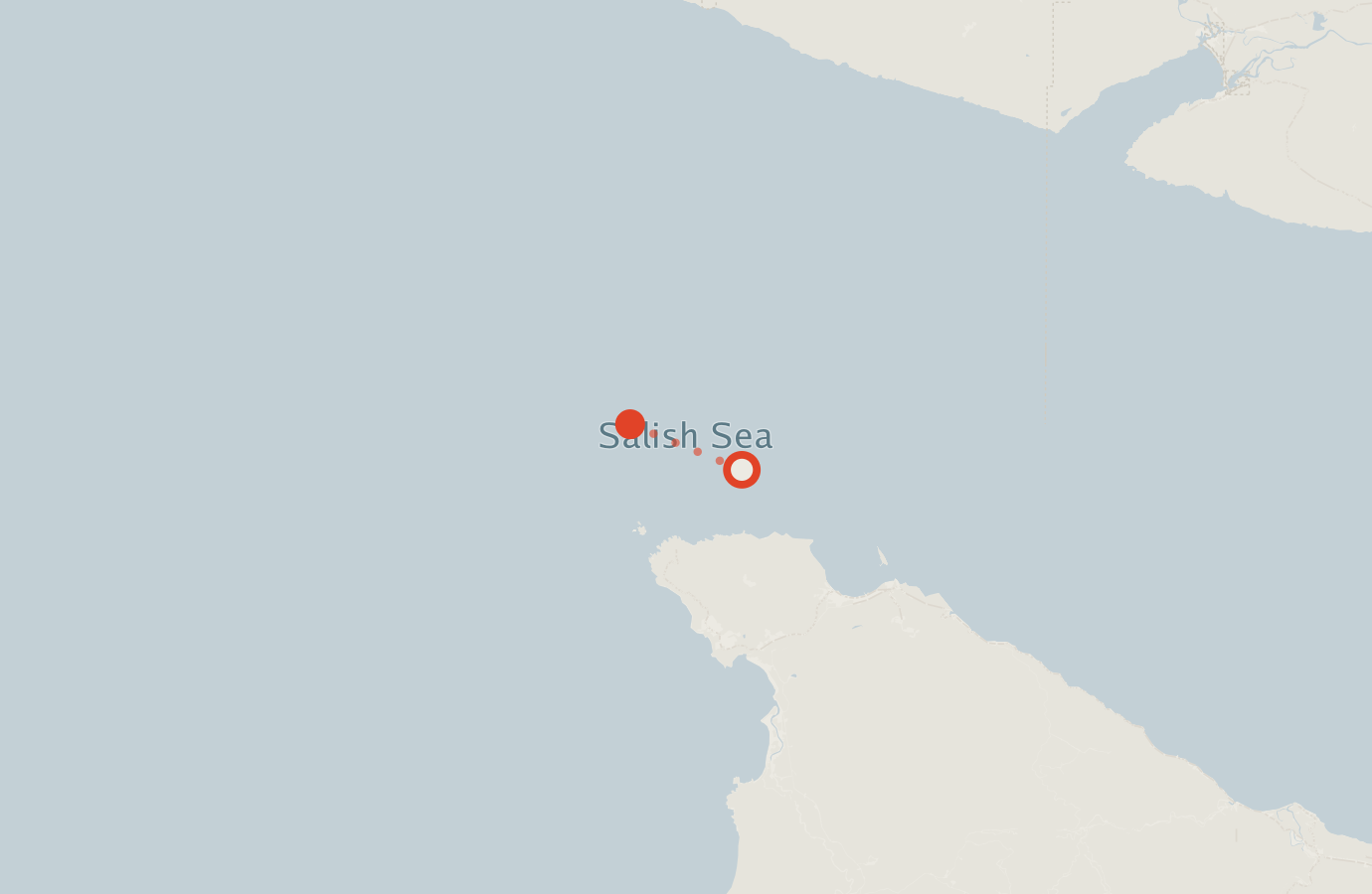 Activity map — real sighting points on an OpenStreetMap basemap