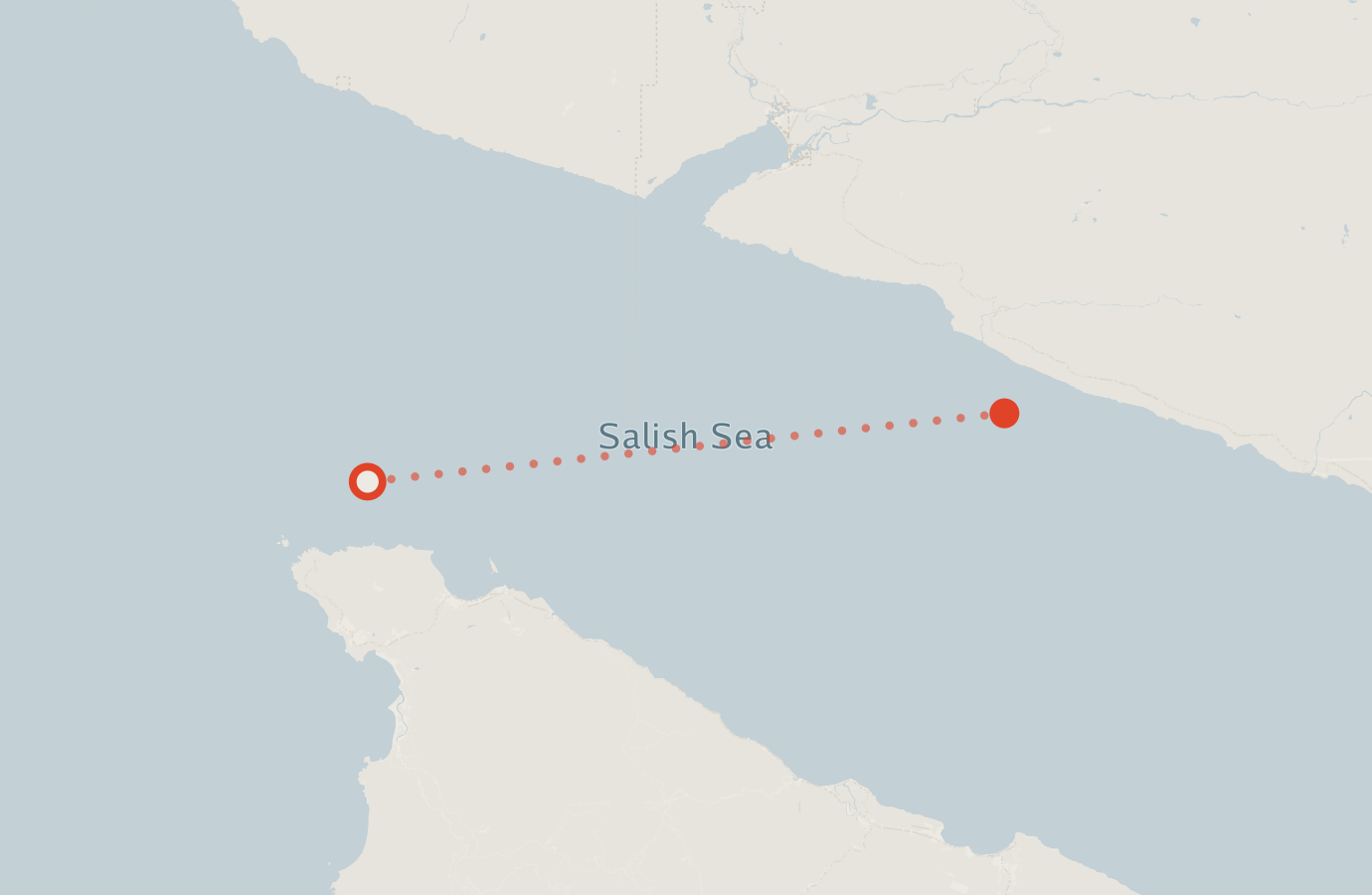 Activity map — real sighting points on an OpenStreetMap basemap