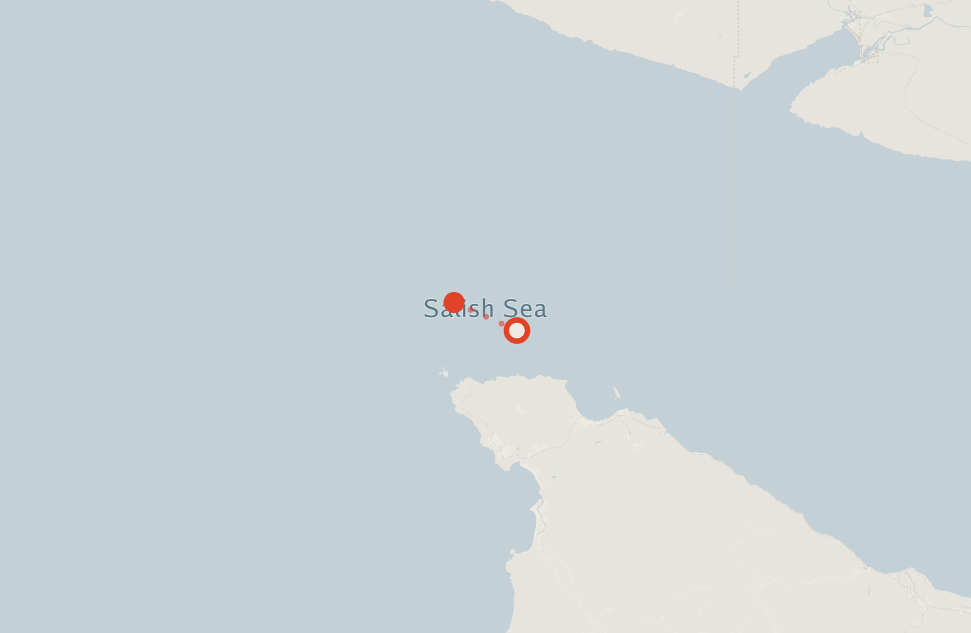 Activity map — real sighting points on an OpenStreetMap basemap