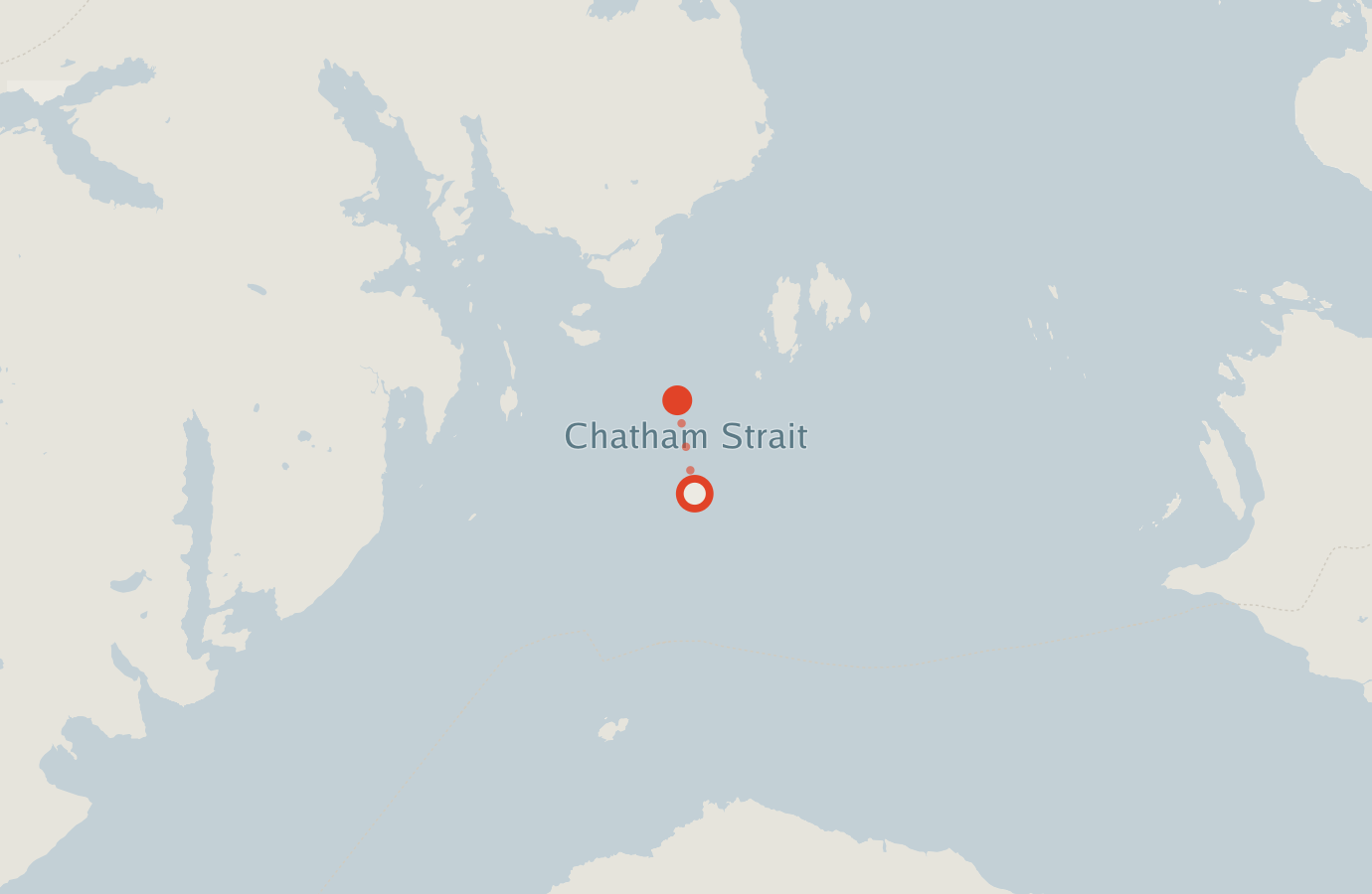 Activity map — real sighting points on an OpenStreetMap basemap