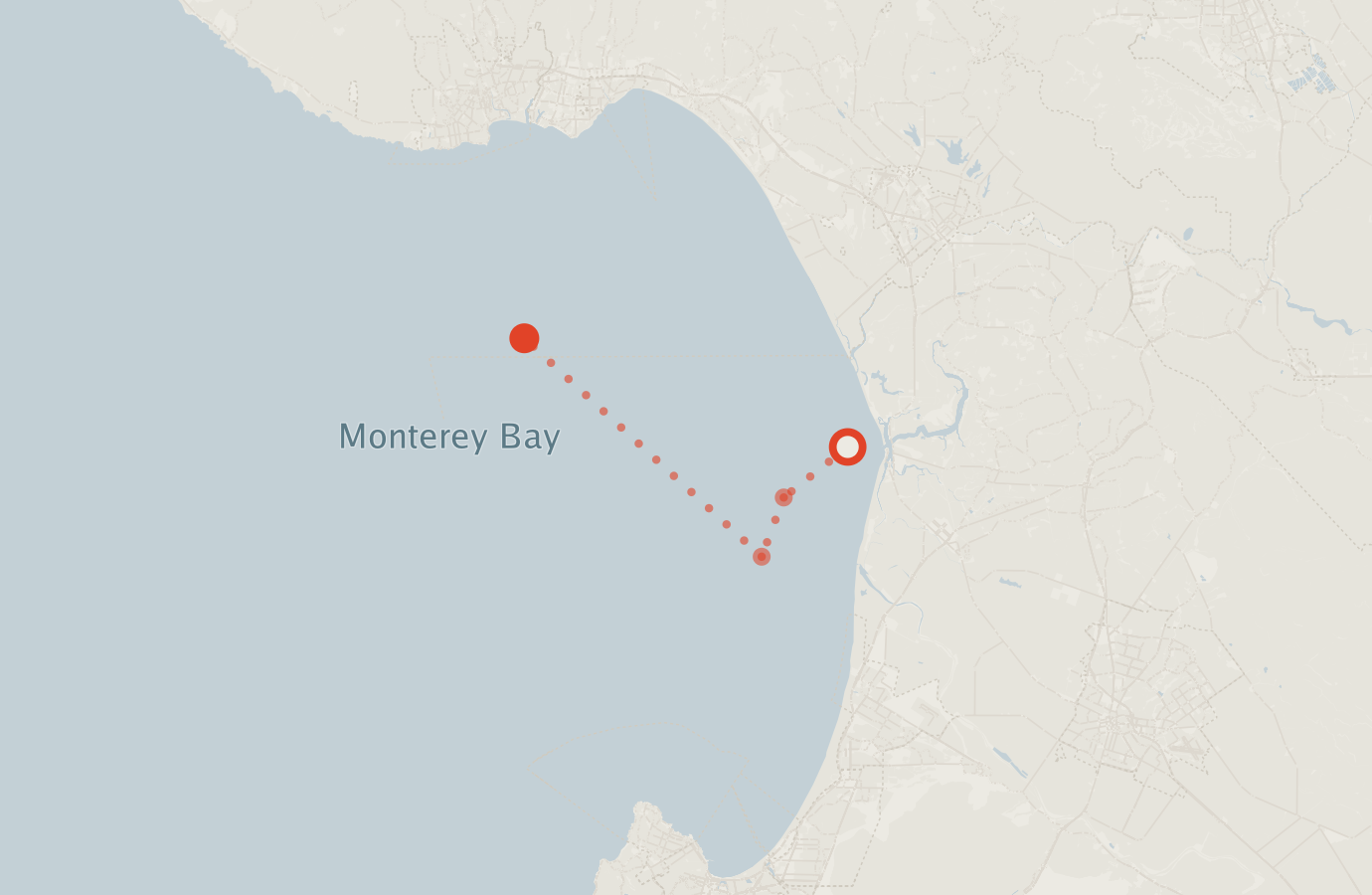 Activity map — real sighting points on an OpenStreetMap basemap