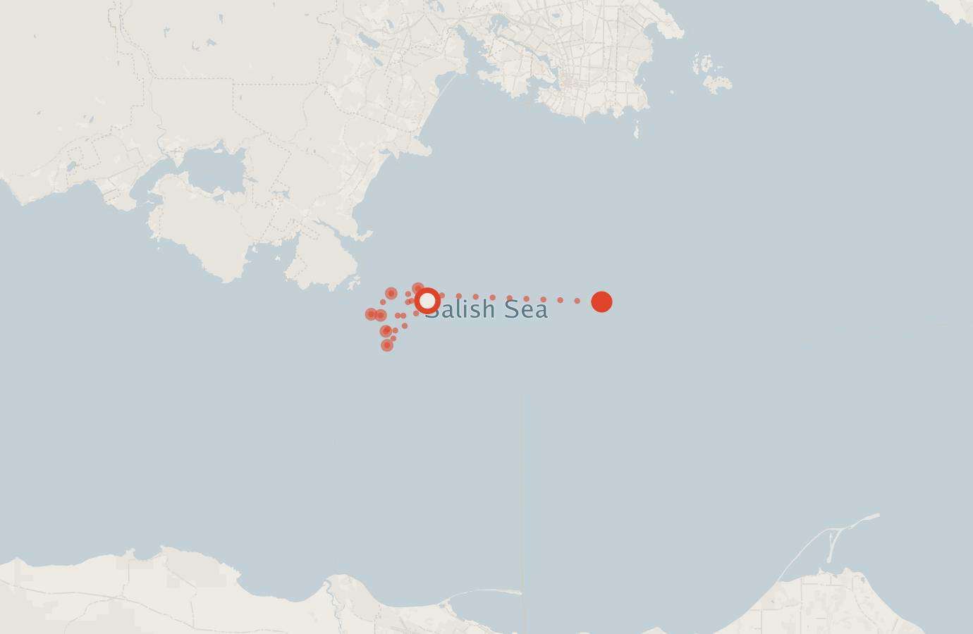 Activity map — real sighting points on an OpenStreetMap basemap