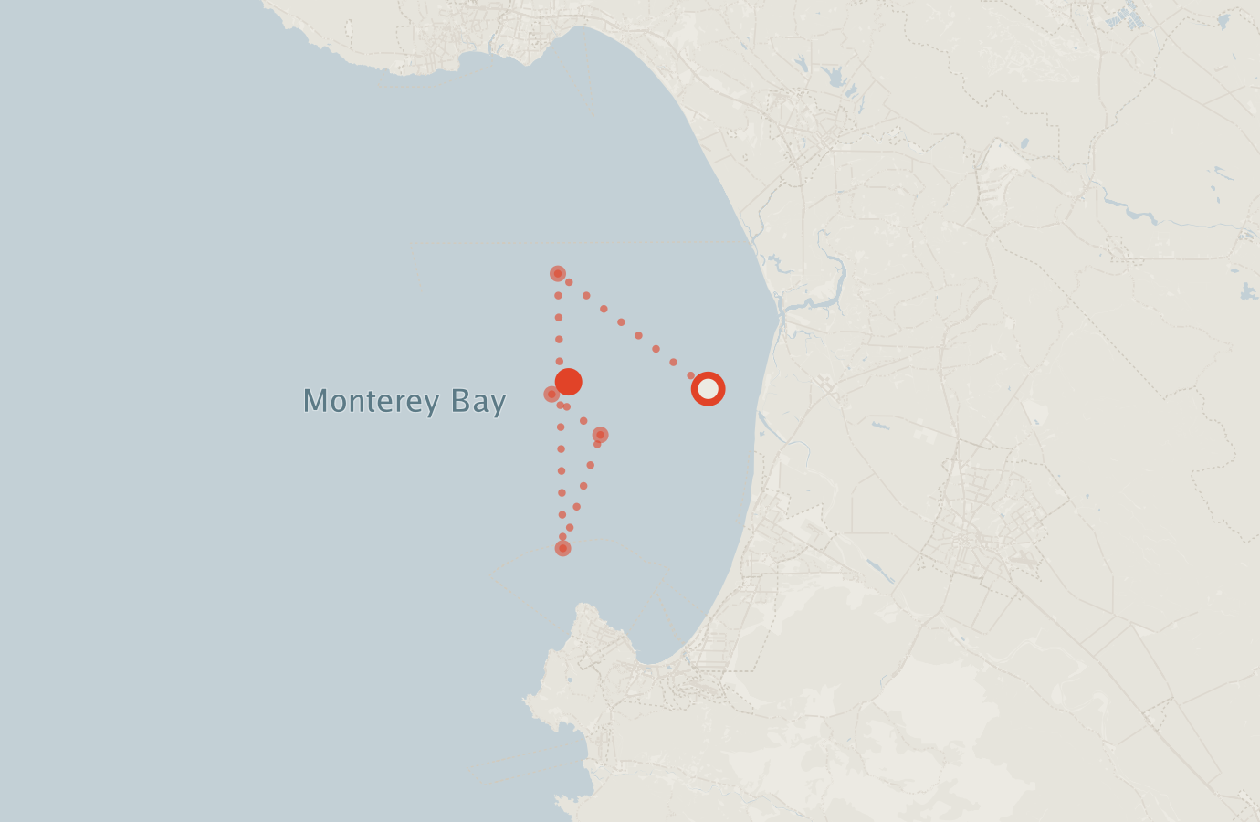 Activity map — real sighting points on an OpenStreetMap basemap