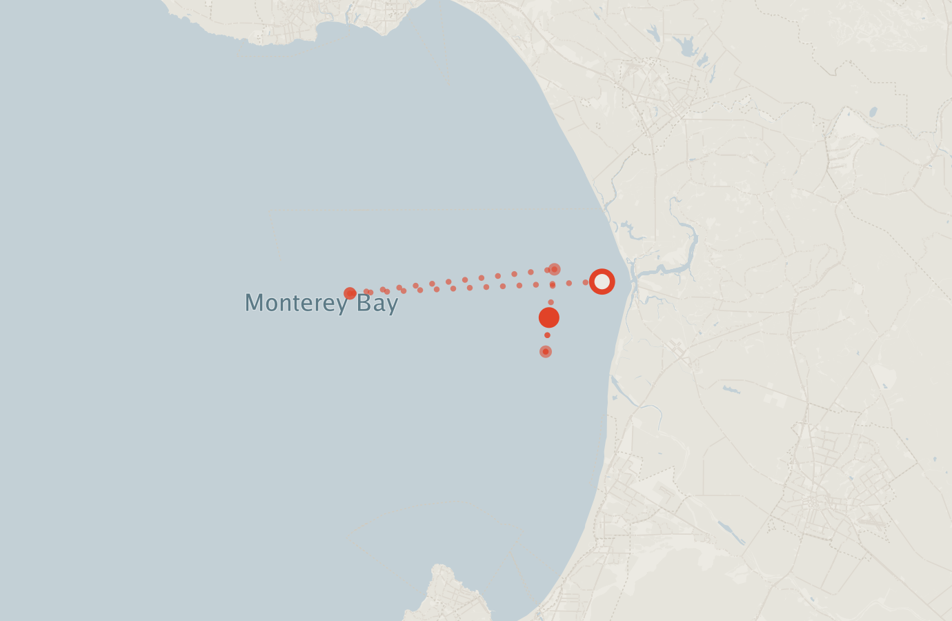 Activity map — real sighting points on an OpenStreetMap basemap