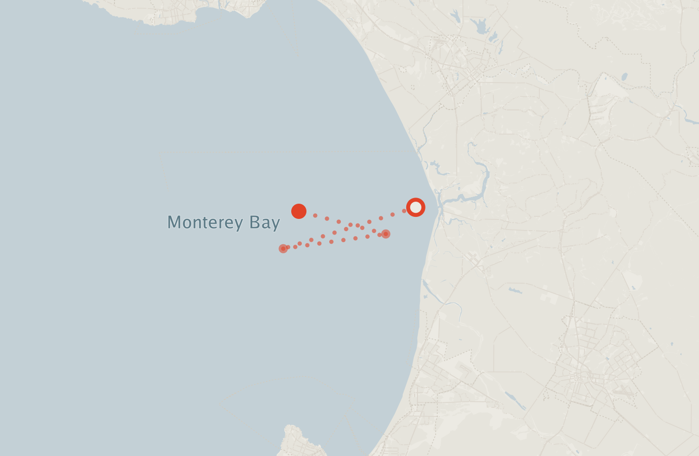 Activity map — real sighting points on an OpenStreetMap basemap