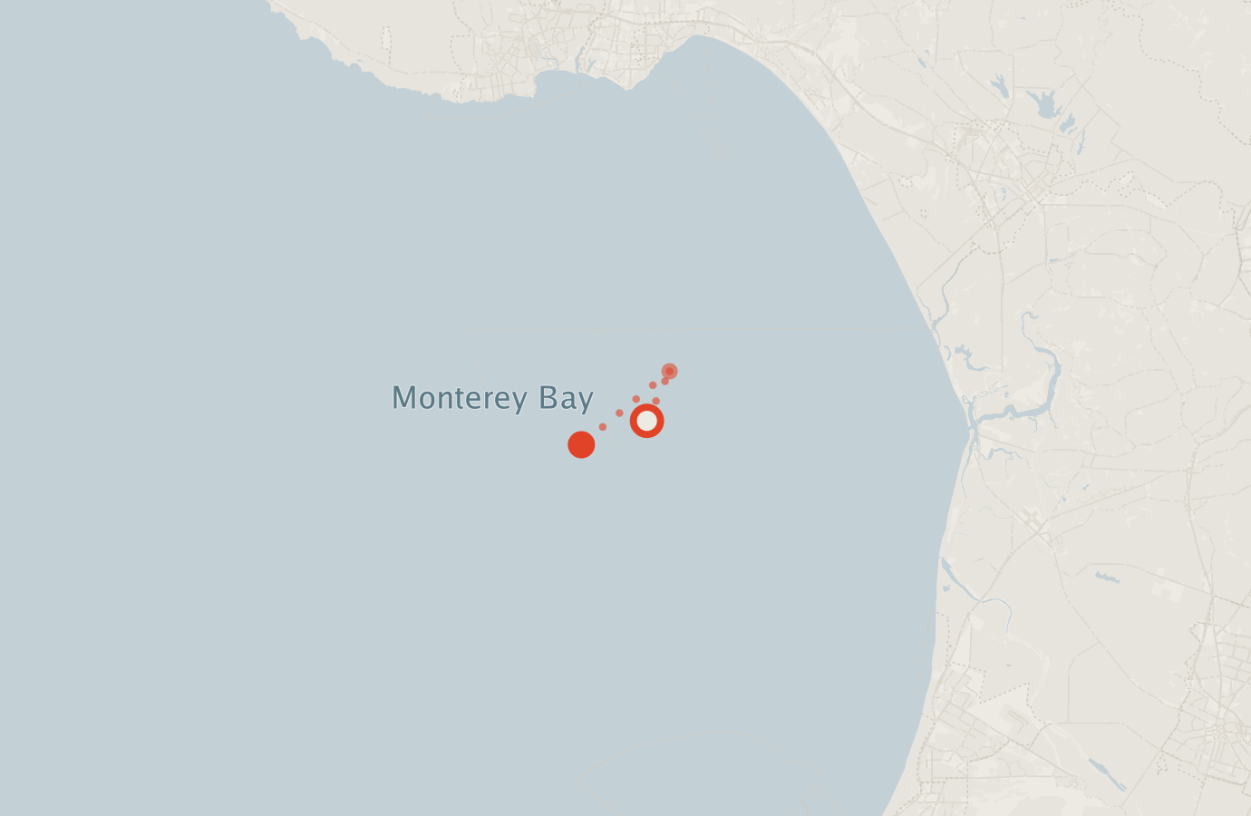 Activity map — real sighting points on an OpenStreetMap basemap