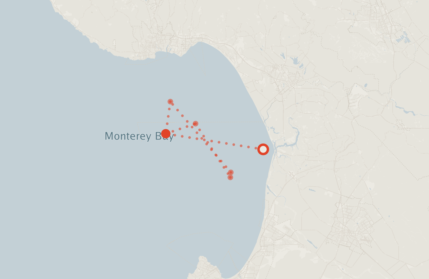Activity map — real sighting points on an OpenStreetMap basemap