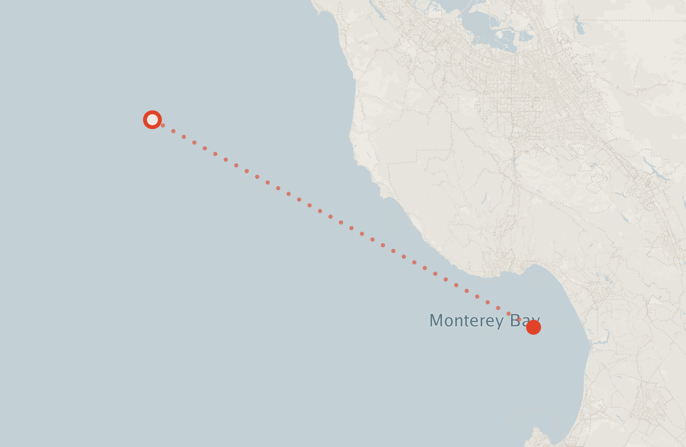 Activity map — real sighting points on an OpenStreetMap basemap