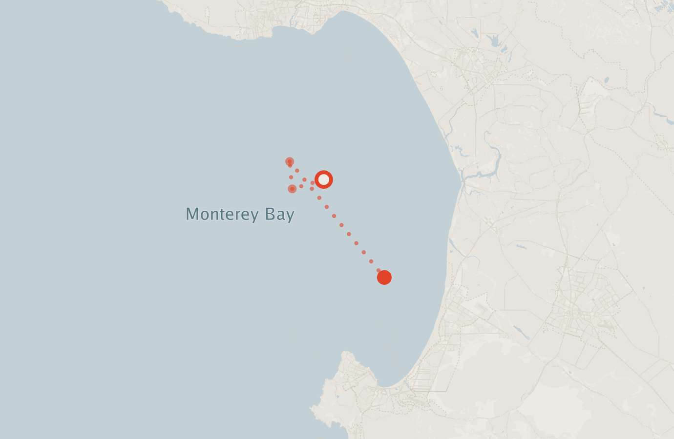 Activity map — real sighting points on an OpenStreetMap basemap