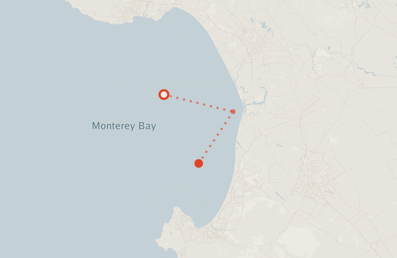Activity map — real sighting points on an OpenStreetMap basemap