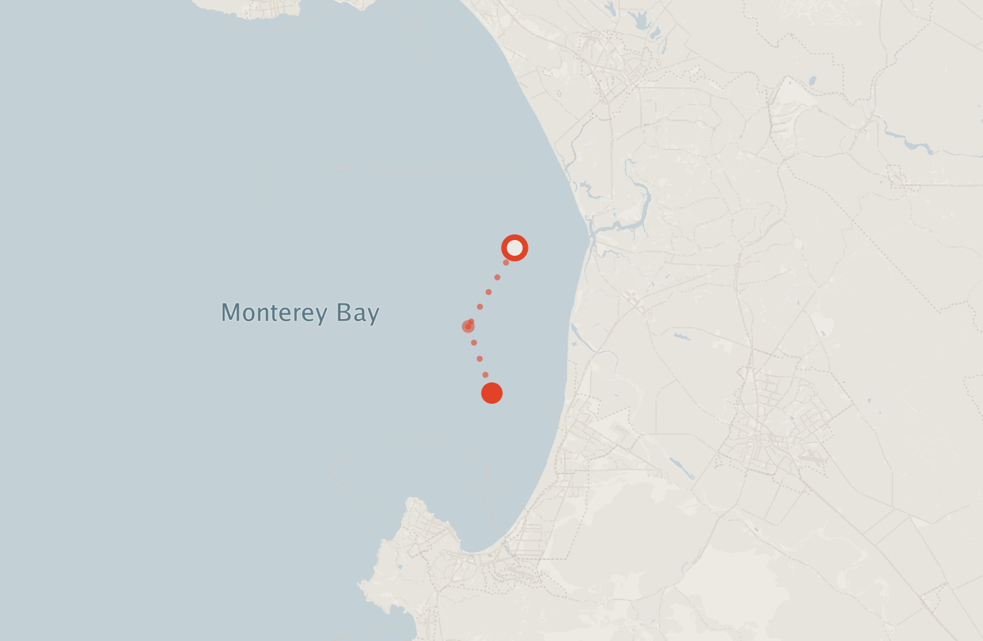 Activity map — real sighting points on an OpenStreetMap basemap